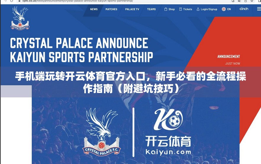 手机端玩转开云体育官方入口，新手必看的全流程操作指南（附避坑技巧）