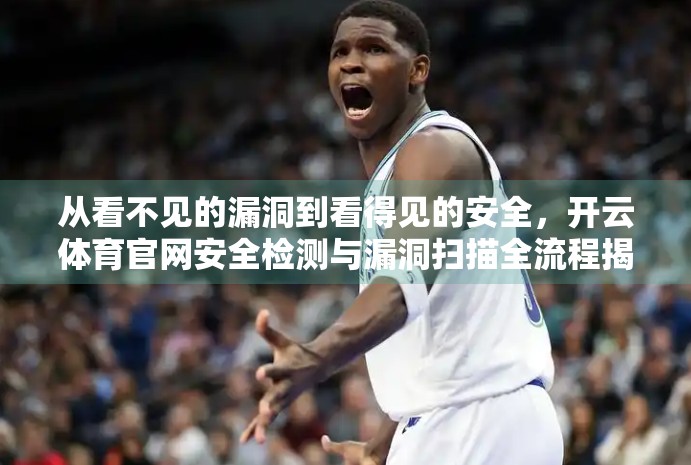 从看不见的漏洞到看得见的安全，开云体育官网安全检测与漏洞扫描全流程揭秘