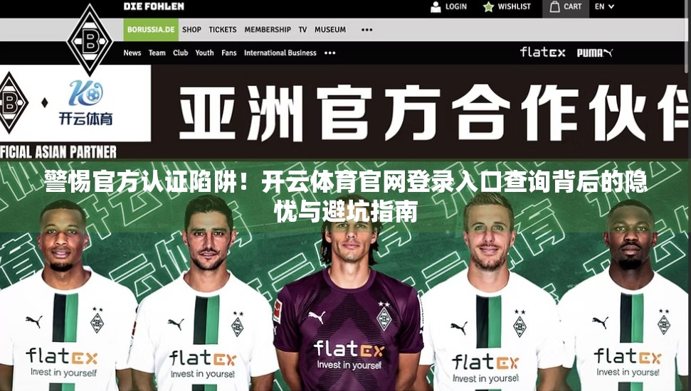 警惕官方认证陷阱！开云体育官网登录入口查询背后的隐忧与避坑指南