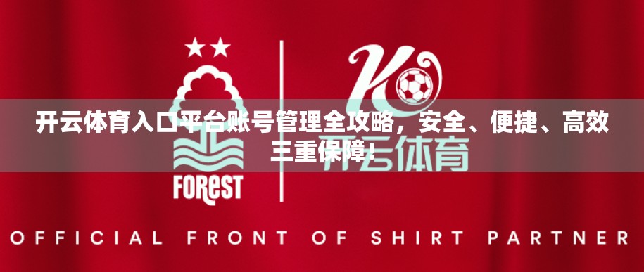 开云体育入口平台账号管理全攻略，安全、便捷、高效三重保障！