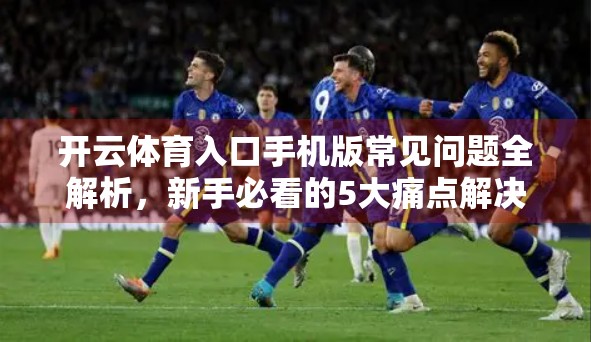 开云体育入口手机版常见问题全解析，新手必看的5大痛点解决方案！