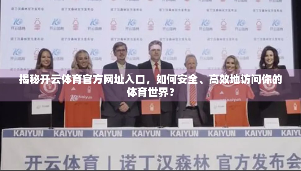 揭秘开云体育官方网址入口，如何安全、高效地访问你的体育世界？