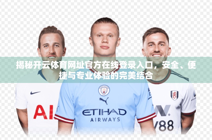 揭秘开云体育网址官方在线登录入口，安全、便捷与专业体验的完美结合
