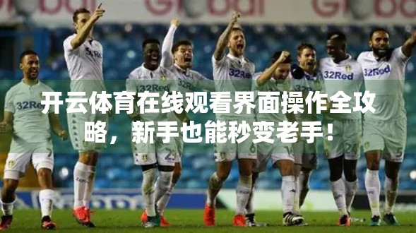 开云体育在线观看界面操作全攻略，新手也能秒变老手！