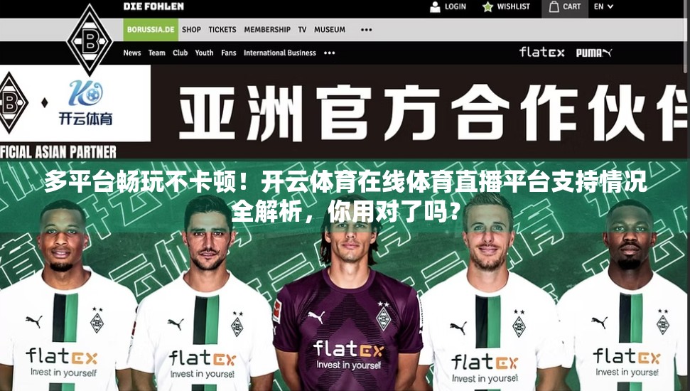 多平台畅玩不卡顿！开云体育在线体育直播平台支持情况全解析，你用对了吗？