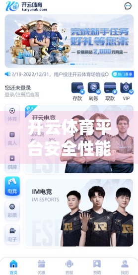 开云体育平台安全性能深度剖析，用户数据保护与系统稳定性的双重考验