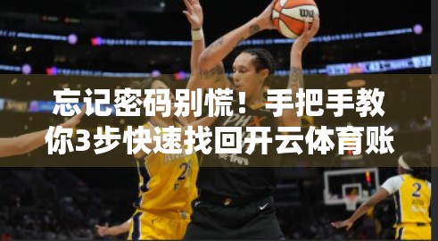 忘记密码别慌！手把手教你3步快速找回开云体育账号