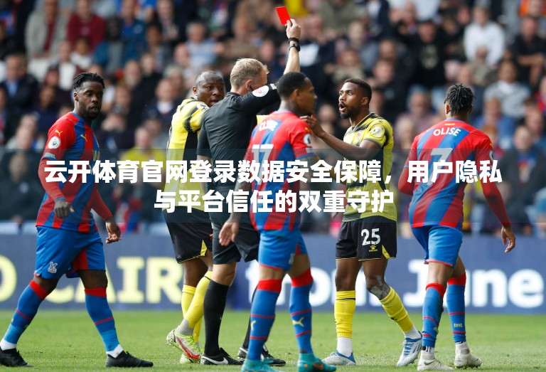 云开体育官网登录数据安全保障，用户隐私与平台信任的双重守护