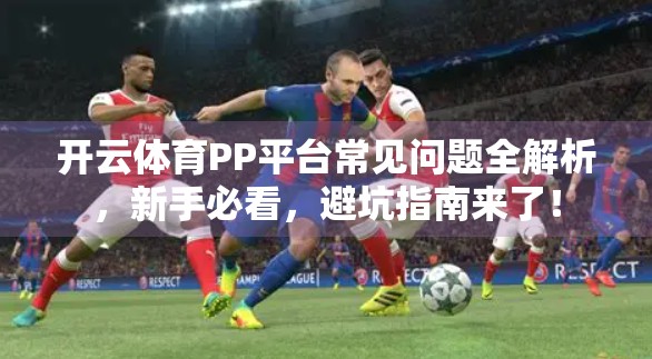 开云体育PP平台常见问题全解析，新手必看，避坑指南来了！