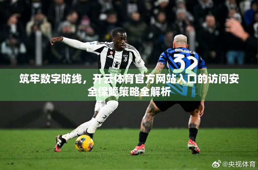 筑牢数字防线，开云体育官方网站入口的访问安全保障策略全解析
