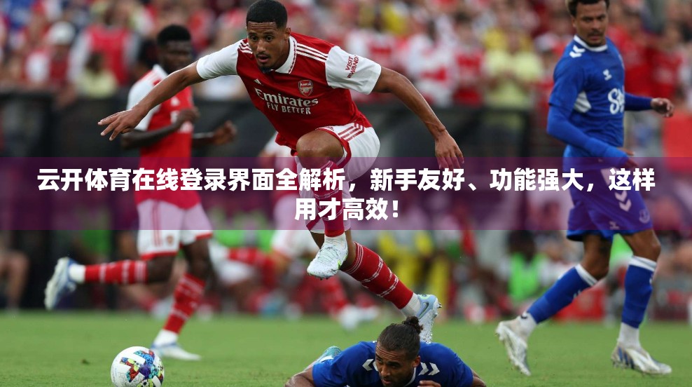 云开体育在线登录界面全解析，新手友好、功能强大，这样用才高效！