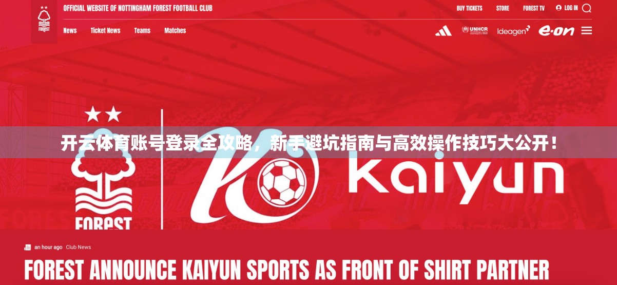 开云体育账号登录全攻略，新手避坑指南与高效操作技巧大公开！