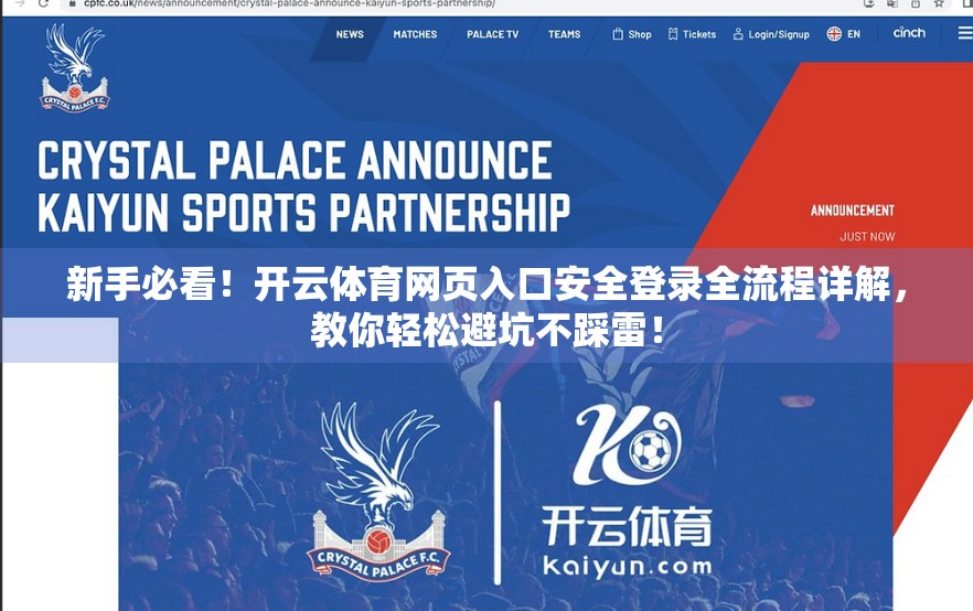 新手必看！开云体育网页入口安全登录全流程详解，教你轻松避坑不踩雷！