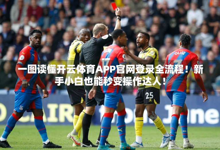一图读懂开云体育APP官网登录全流程！新手小白也能秒变操作达人！