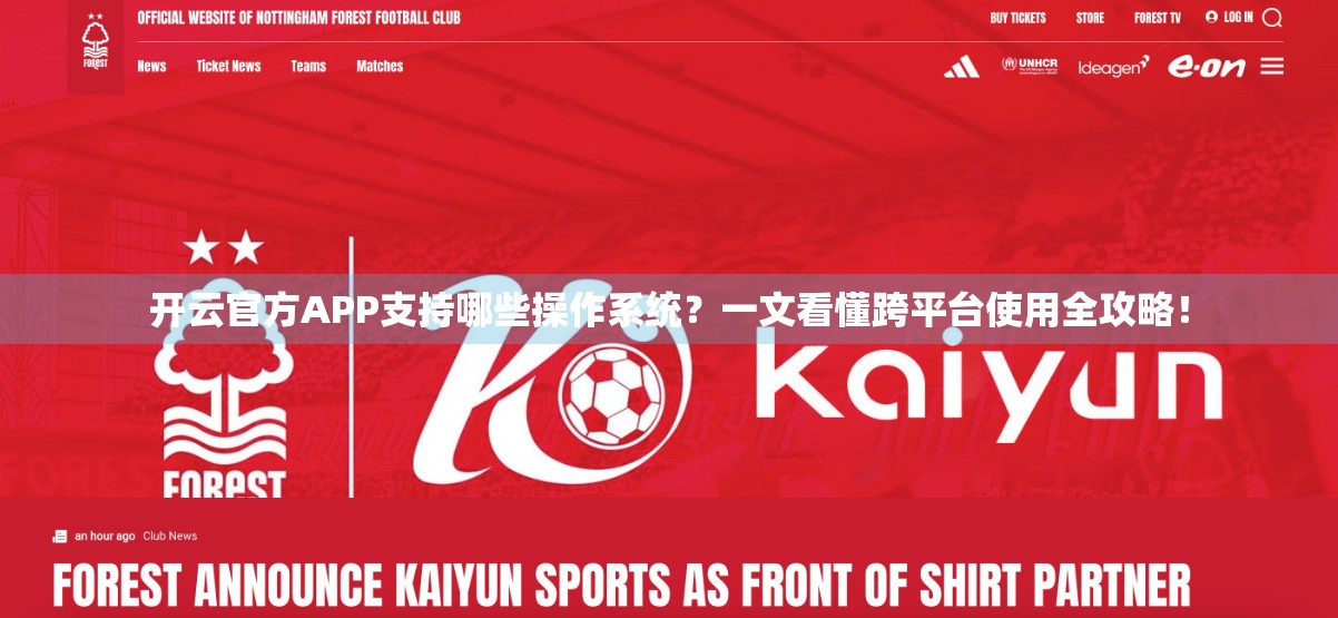开云官方APP支持哪些操作系统？一文看懂跨平台使用全攻略！