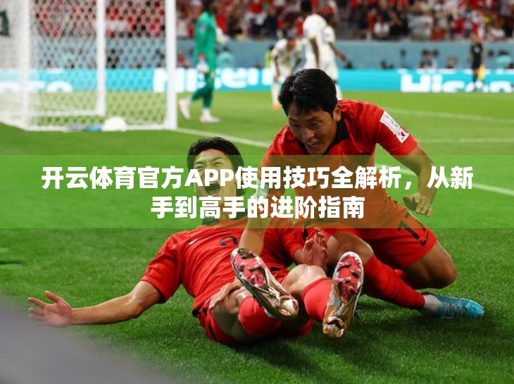开云体育官方APP使用技巧全解析，从新手到高手的进阶指南