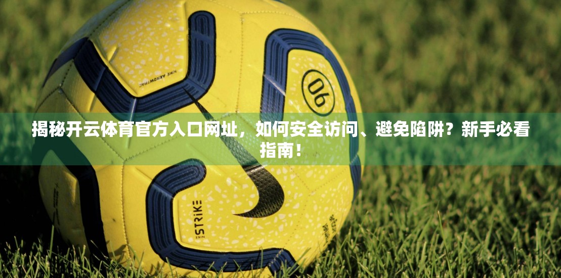 揭秘开云体育官方入口网址，如何安全访问、避免陷阱？新手必看指南！