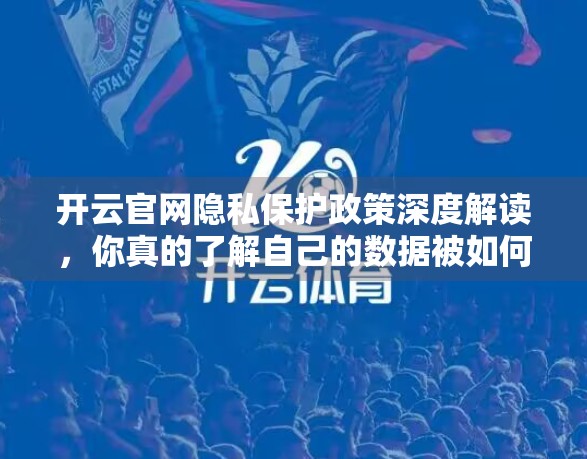 开云官网隐私保护政策深度解读，你真的了解自己的数据被如何对待了吗？