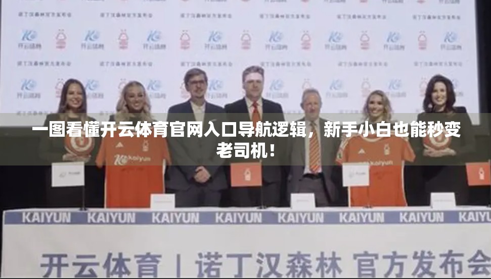 一图看懂开云体育官网入口导航逻辑，新手小白也能秒变老司机！