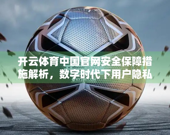 开云体育中国官网安全保障措施解析，数字时代下用户隐私与数据的金钟罩