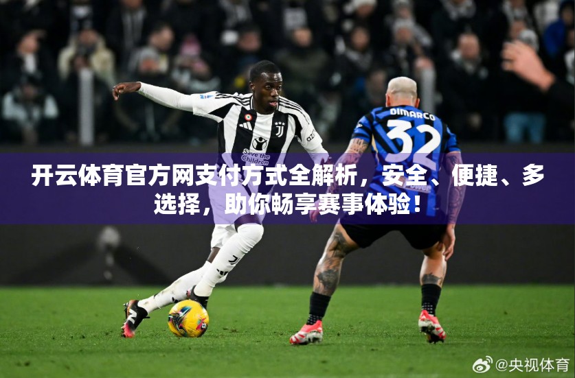 开云体育官方网支付方式全解析，安全、便捷、多选择，助你畅享赛事体验！
