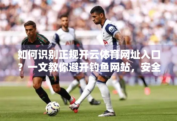 如何识别正规开云体育网址入口？一文教你避开钓鱼网站，安全畅玩体育赛事！