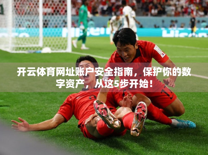 开云体育网址账户安全指南，保护你的数字资产，从这5步开始！